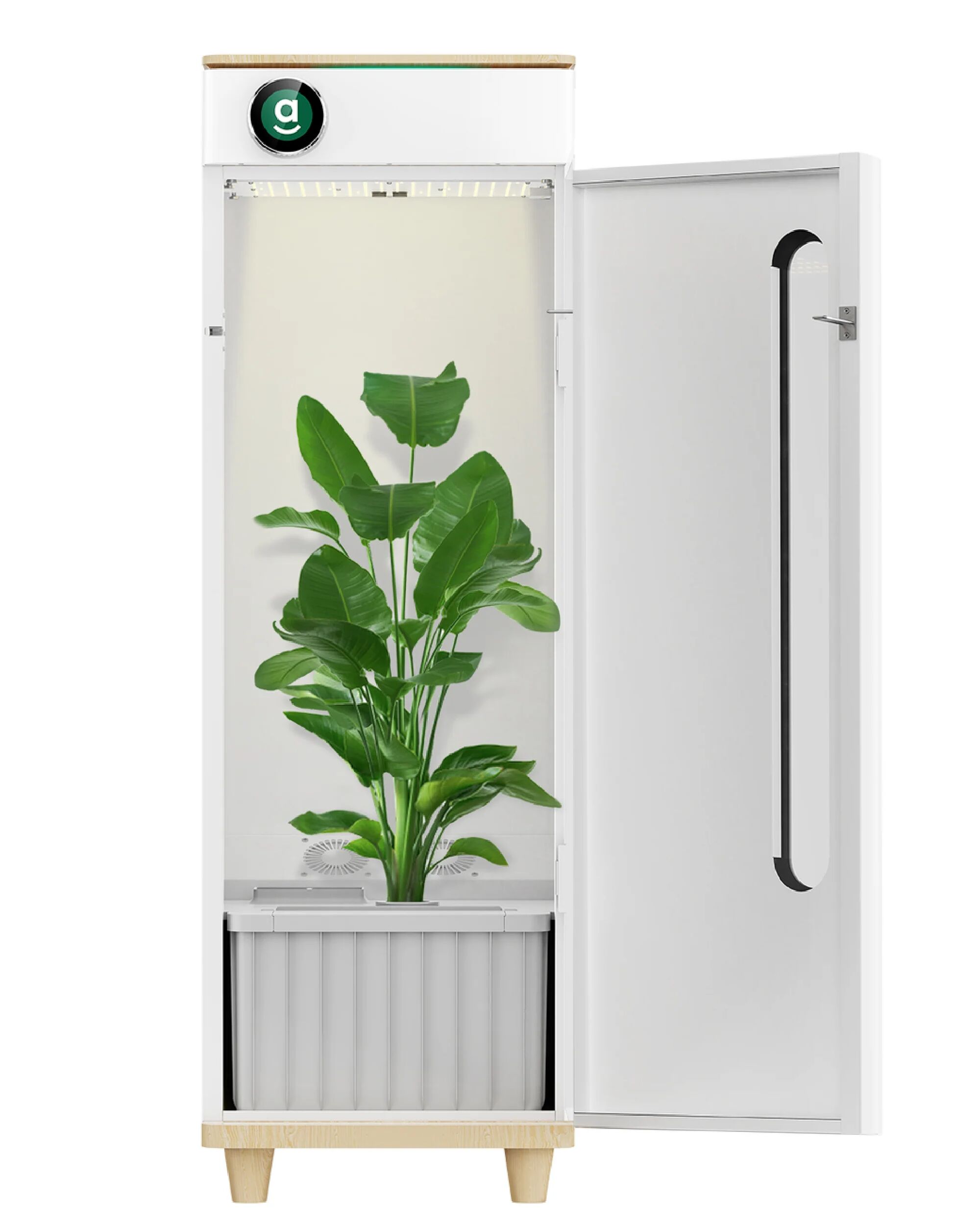 Hey abby Automated Grow Box OG Edition