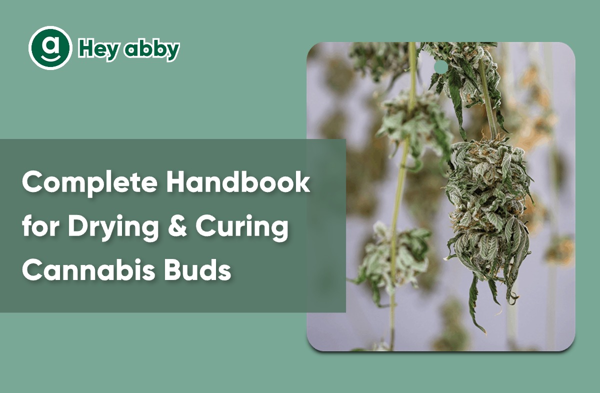 5/19 - 🔖 Pro Tips for Drying & Curing Cannabis Buds